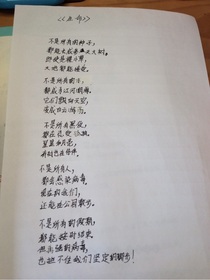 金瓜的作死日常