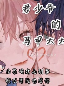 君少爺?shù)鸟R甲太太