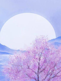 云幽奇境：北海星石