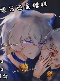 双喜之缘分还是糟糕