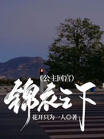 锦衣之下（公主回宫）