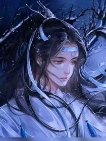 蓝湛打架（1）
