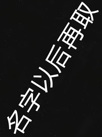 1名字之后再取