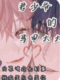 君少爷的马甲太太2