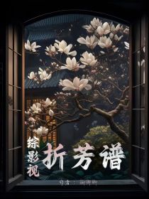 综影视：折芳谱