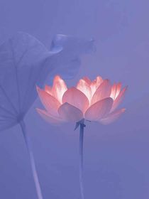 我的一生：