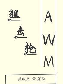 狙击枪AWM