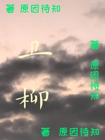 卫柳
