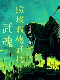 武魂垃圾我修武技！