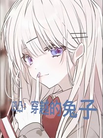 凹凸：穿越的兔子