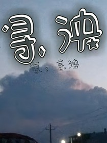 寻泱