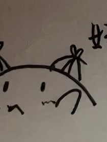 朝朝暮暮念宇白