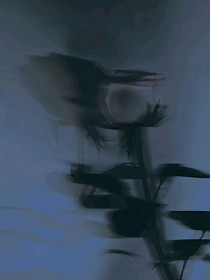 无味的水