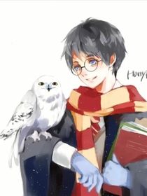 Hp无心之人