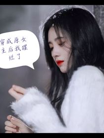 TF三代：穿成原女主的我摆烂了