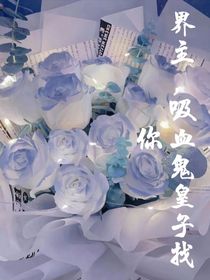 界主，吸血鬼皇子找你