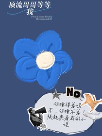 頂流哥哥等等我