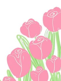 花语耀石——寻回宝石