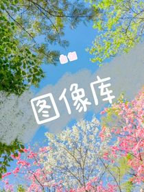 圖像集啊