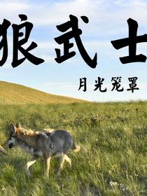 狼武士……被族群誣陷