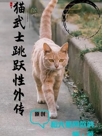 猫武士跳跃性外传三之星光之路