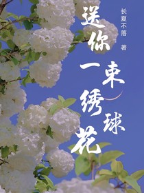 送你一束无尽夏