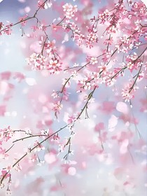 那两年，花开未眠
