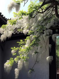 相约见面