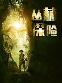 魔法探險(xiǎn)之旅