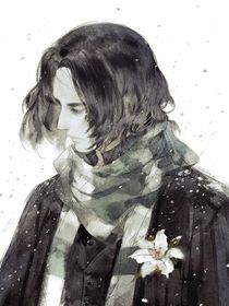 HP我亲爱的西弗勒斯