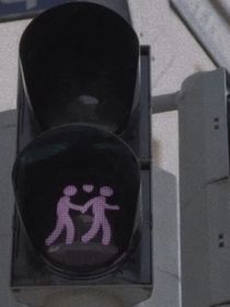 桉南槐北