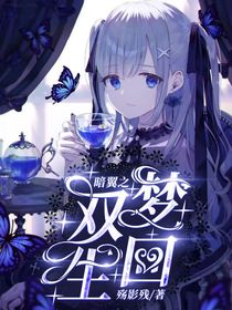 暗翼之双生梦回