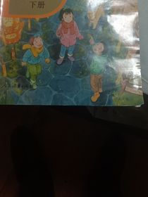 亚马逊六人组日常