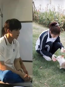 一妍瑋定