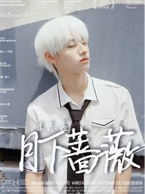 朱志鑫：月下蔷薇