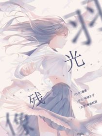 网球王子之羽光残像