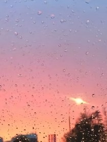 雯雯呢