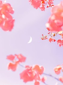 平安夜快乐