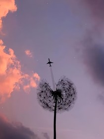 语录语录