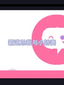 霸道总裁和小娇妻（我姐的文）
