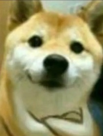 輪回死神