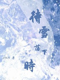 待雪落下时