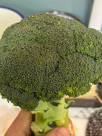 十六与小蜜