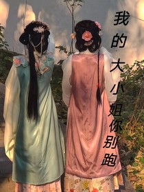 我的大小姐你别跑