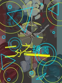 二分之一镜面