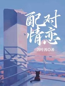 配对情恋