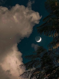 盛夏夜的晚风