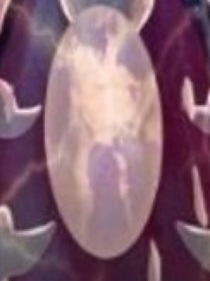 魔法俏佳人与舞法天女
