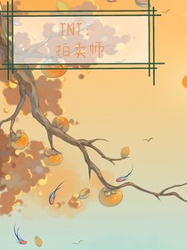 TNT：拍卖师