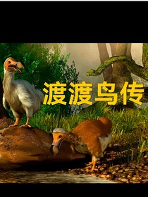 渡渡鳥傳
